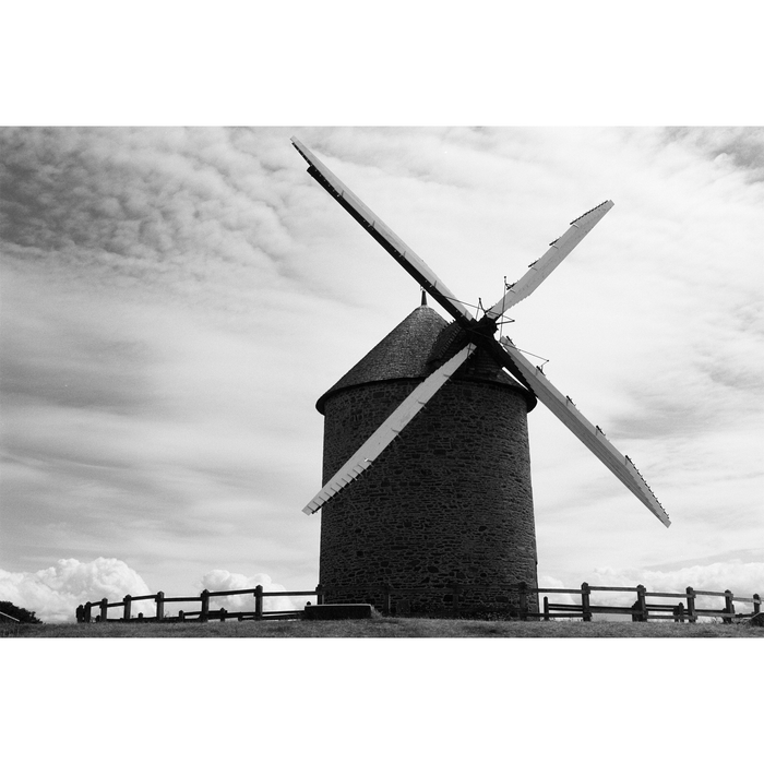 Ilford Ortho Plus 80 Black & White Negative - 35mm Film, 36 Exposures, Single Roll