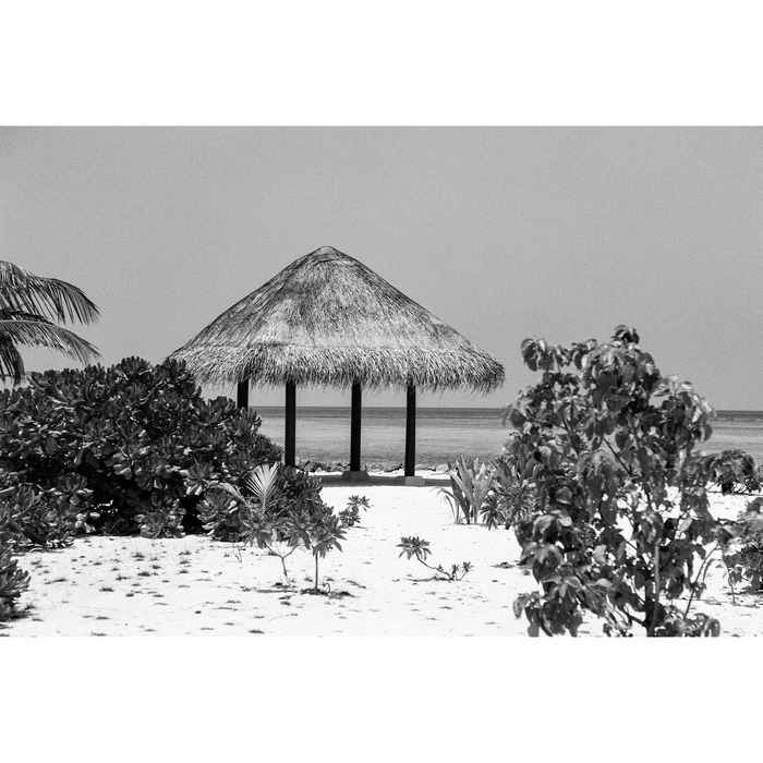Ilford Pan F Plus 50 Black & White Negative - 35mm Film, 36 Exposures, Single Roll