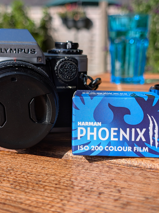 Harman Phoenix II 200 Color Negative - 35mm Film, 36 Exposures, Single Roll