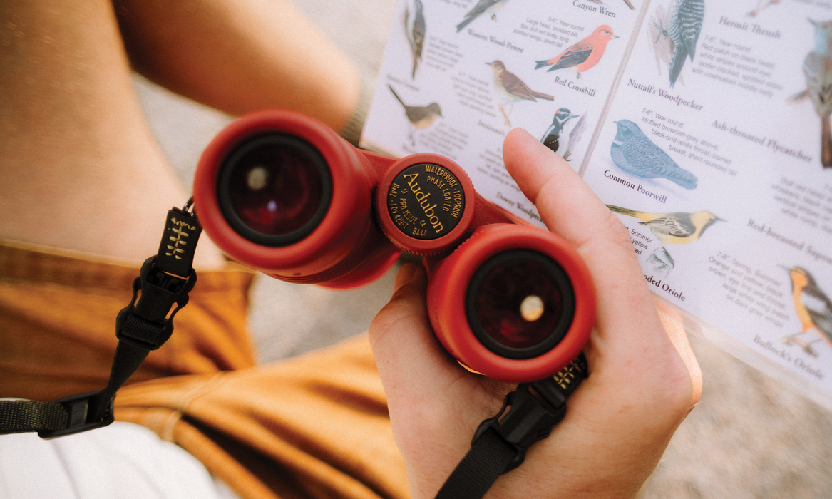 Nocs Provisions x Audubon Pro Issue 8x42 Waterproof Binoculars Bundle with Strap - Audubon Summer Tanager (Limited-Edition)