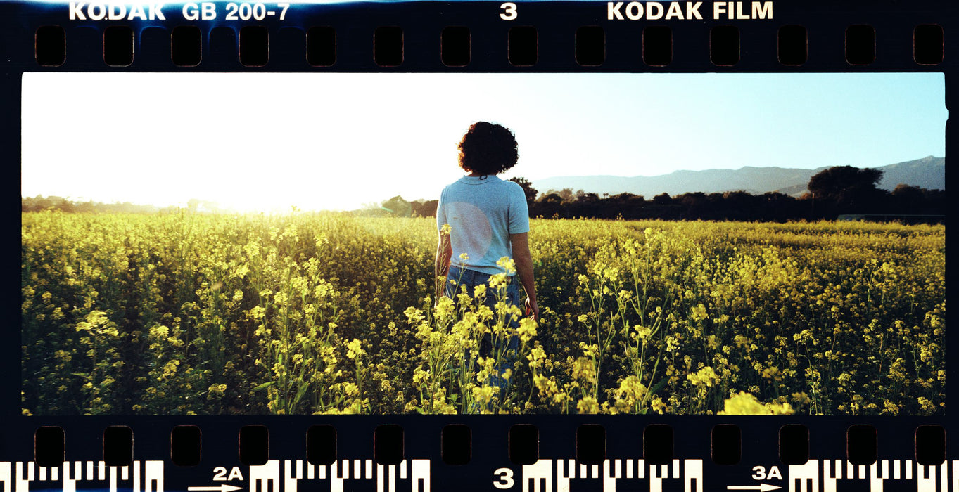 Negative Supply 35mm Full Border Scanning Cassette