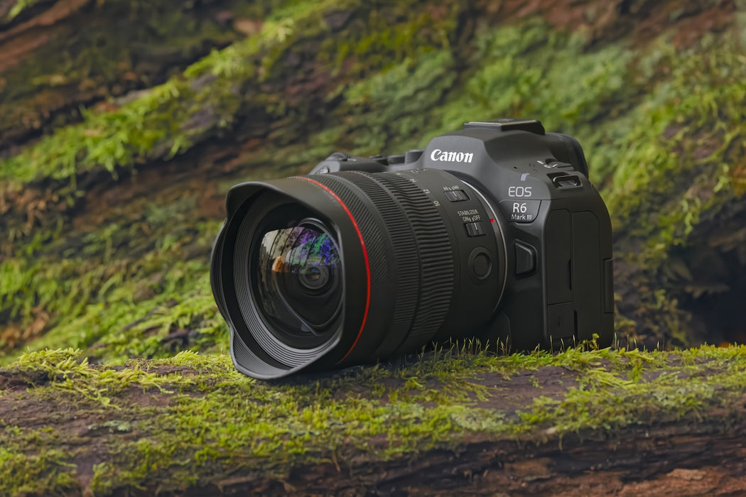 Canon EOS R6 Mark III with RF 24-105mm f/4-7.1 IS STM Lens