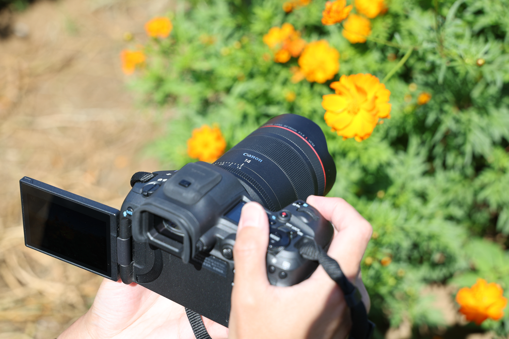 Canon RF 14mm f/1.4 L VCM Lens