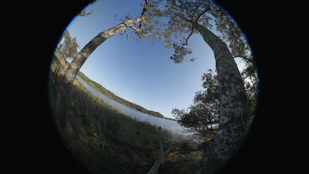 Canon RF 7-14mm f/2.8-3.5 L Fisheye STM Lens