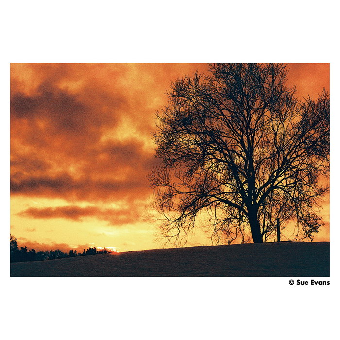 Harman Red 125 Redscale Color Negative - 35mm Film, 36 Exposures, Single Roll