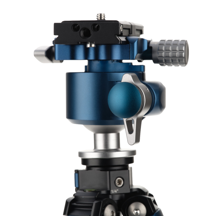 Benro Blackbird Carbon Fiber 1 Series 5-Section Tripod with G36PT Low Profile Inverted Ballhead Head