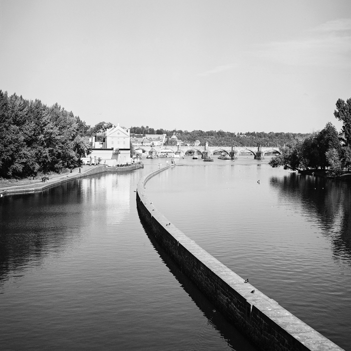 Ilford XP2 Super 400 Black & White Negative - 120 Film, Single Roll
