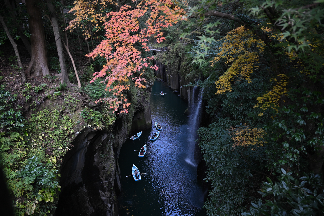 Nikon Z 24-105mm f/4-7.1 Lens