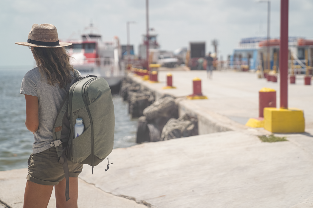 Peak Design Travel 30L Backpack - Sage