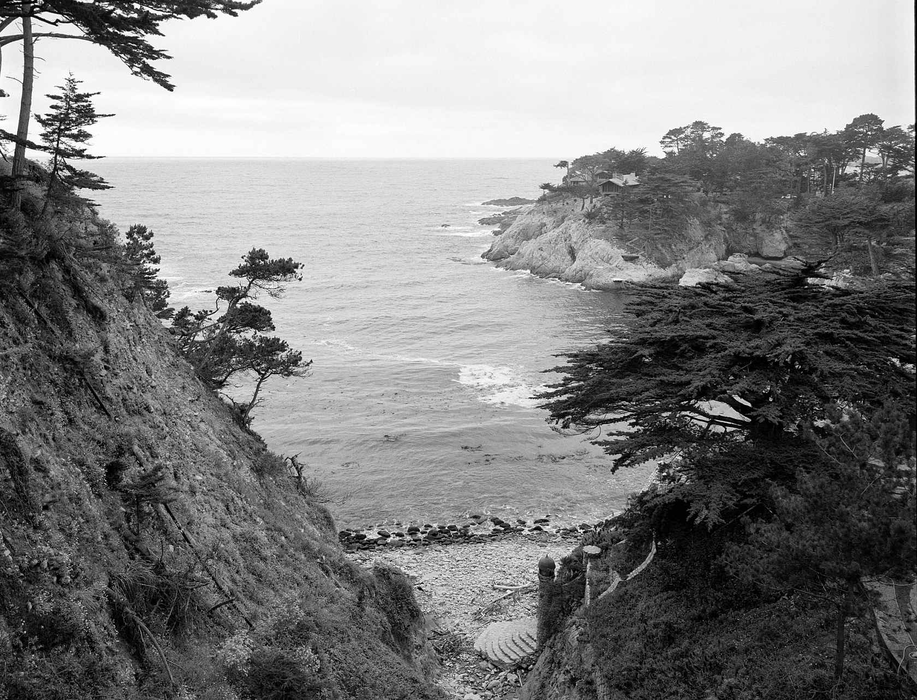 Kodak Eastman Professional EKTAPAN 400 Black & White Negative - 35mm Film, 36 Exposures, Single Roll
