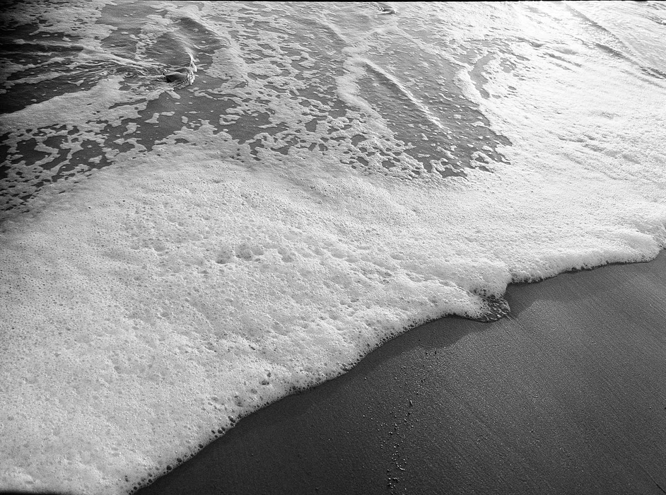 Kodak Eastman Professional TRI-X 400 Black & White Negative - 35mm Film, 36 Exposures, Single Roll