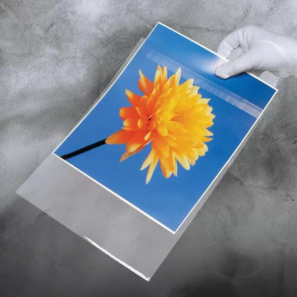 Lineco Self-Sealing Photo/Art Polypropylene Bag with Flap, 24 x 36" - 25 Pack