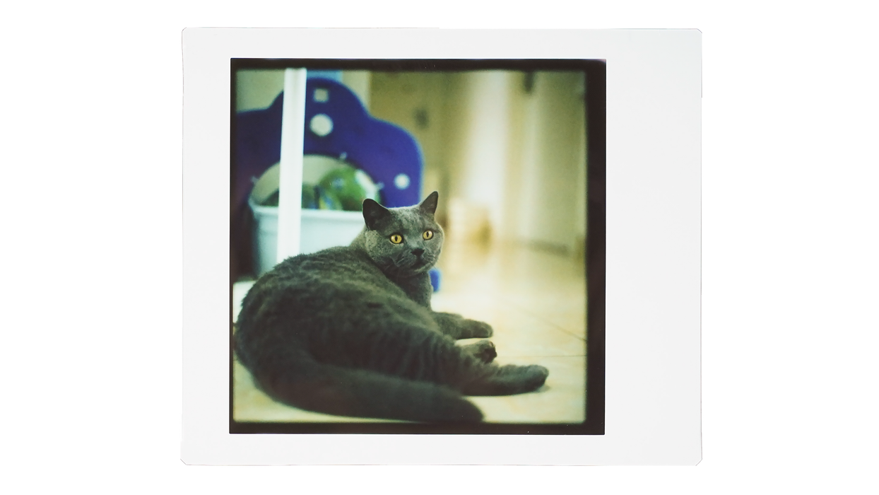 NONS Instant Back for Hasselblad NIB-H1