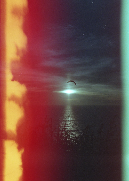 Psychedelic Blues #2 200 Color Negative - 35mm Film, 36 Exposures, Single Roll