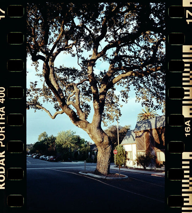 Negative Supply 35mm Full Border Scanning Cassette