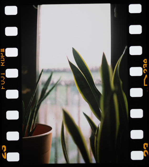 Negative Supply Basic Film Carrier 35 MK2