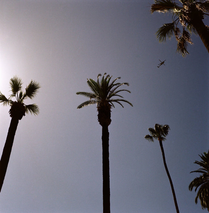 Negative Supply Basic Film Carrier 120 MK2