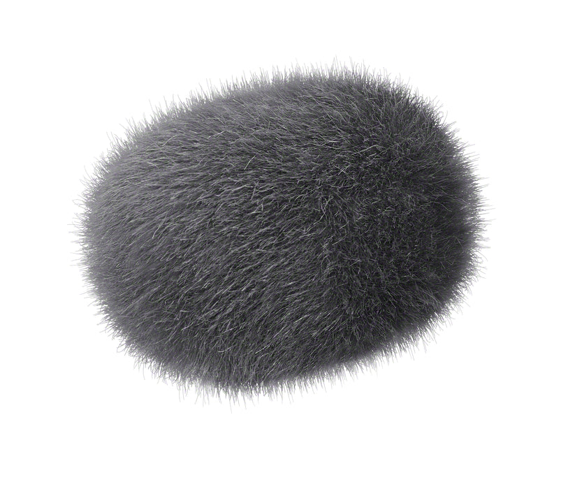Sony ECM-G1 Shotgun Microphone
