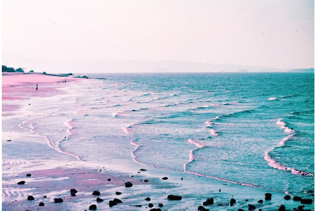 Lomography LomoChrome Purple Pétillant 100-400 Color Negative - 35mm Film, 36 Exposures, Single Roll