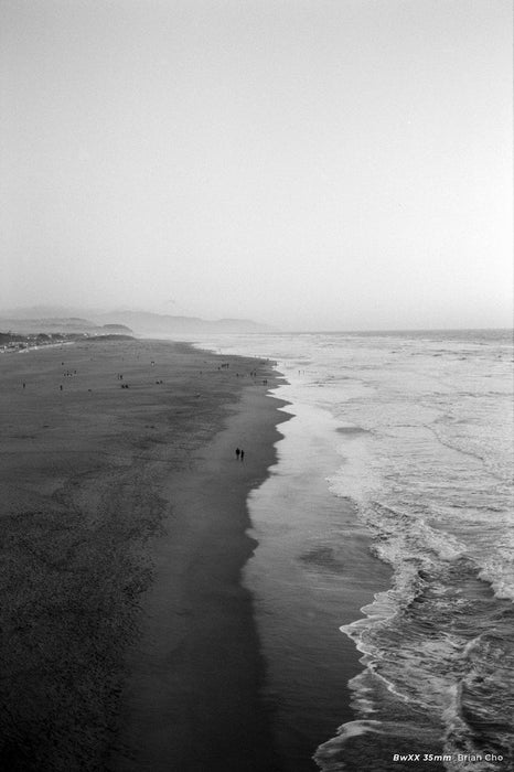 CineStill BwXX Double-X 250 Black & White Negative - 35mm Film, 36 Exposures, Single Roll