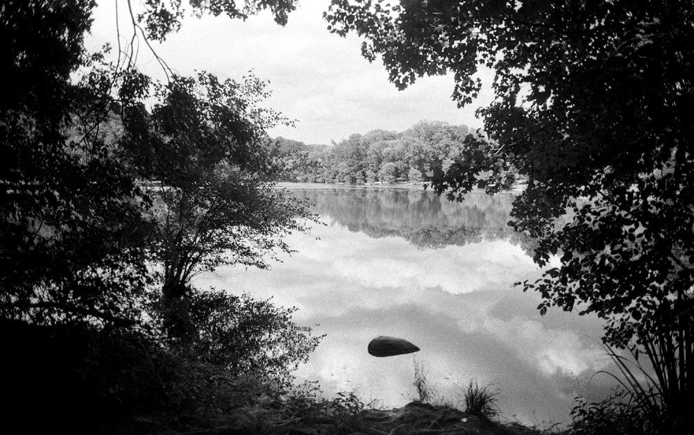 Film Photography Project Dracula 64 Black & White - 35mm Film, 24 Exposures, Single Roll