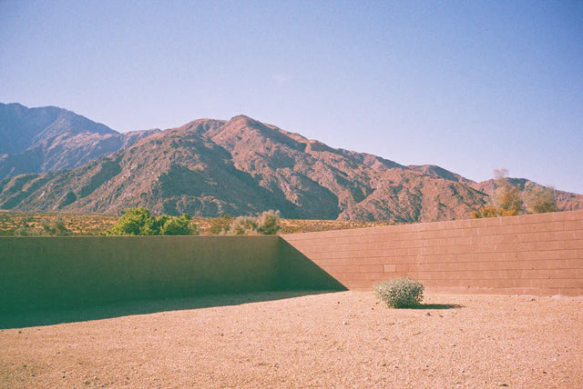 Dubblefilm Bubblegum 200 Color Negative - 35mm Film, 36 Exposures, Single Roll