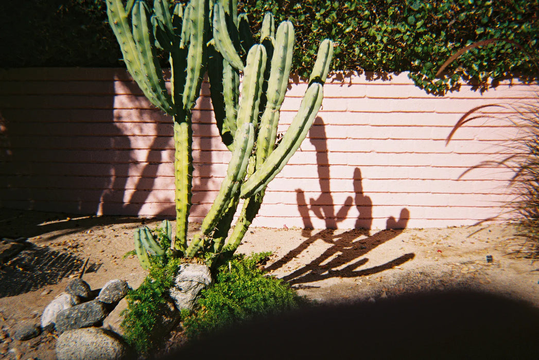 Dubblefilm Bubblegum 200 Color Negative - 35mm Film, 36 Exposures, Single Roll