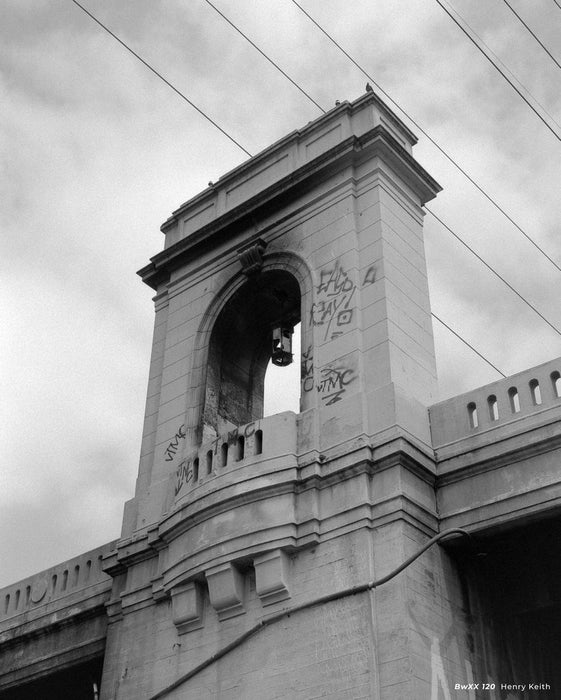 CineStill BwXX Double-X 250 Black & White Negative - 120 Film, Single Roll