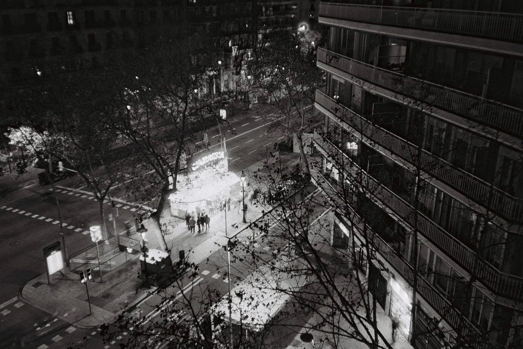 Dubblefilm Daily 400 Black & White Negative - 35mm Film, 36 Exposures, Single Roll