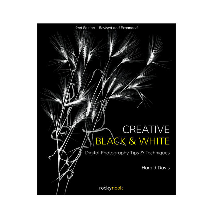 Creative Black and White: Digital Photography Tips and Techniques