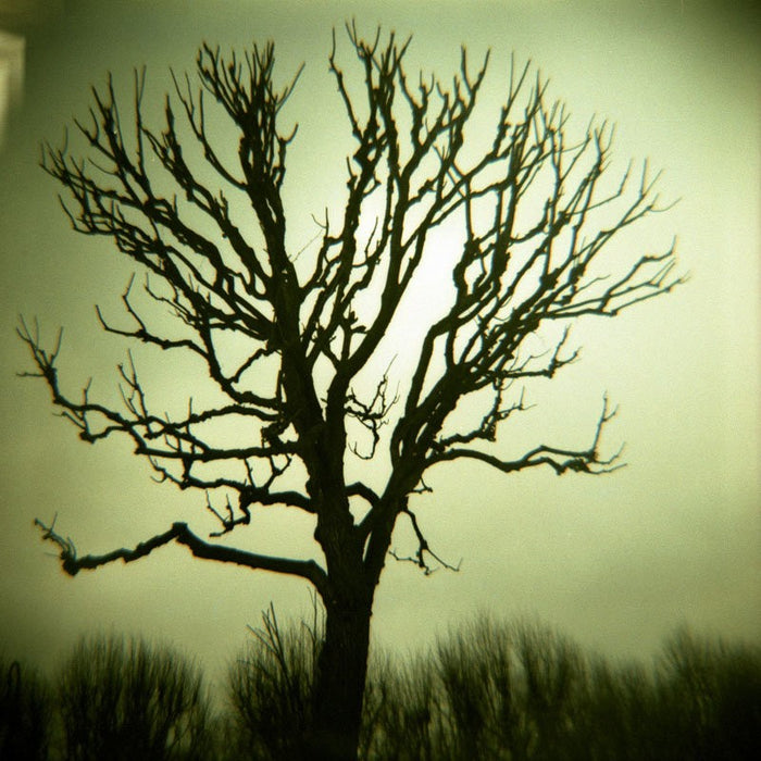 Lomography Diana F+ Film Camera and Flash - Teal/Black