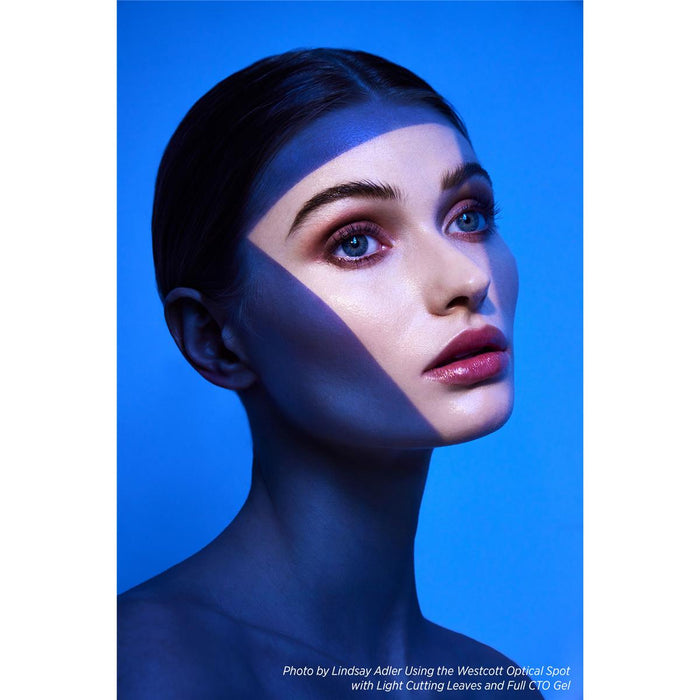 Westcott Optical Spot by Lindsay Adler for Bowens