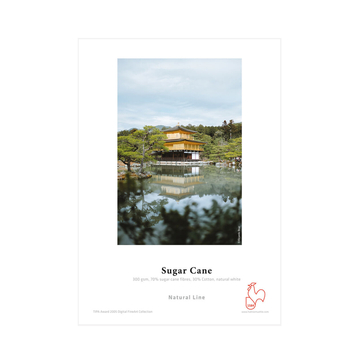 Hahnemühle Sugar Cane Paper 13" x 19" - 25 Sheets