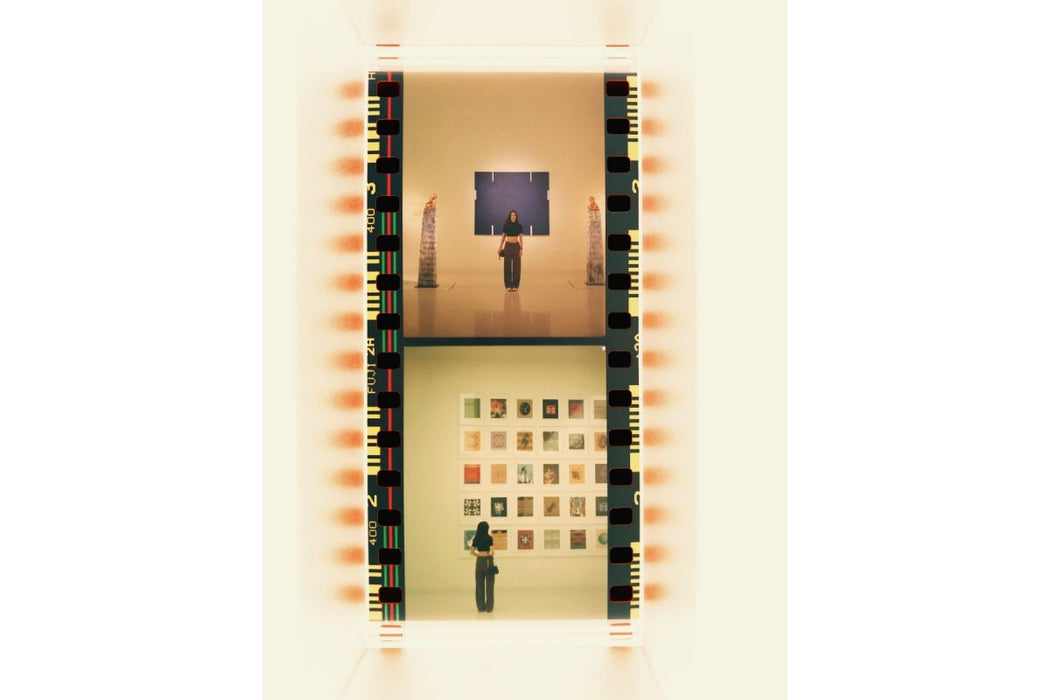 Lomography DigitaLIZA Max 35mm and 120 Film Scanning Kit with Smart Phone Mount