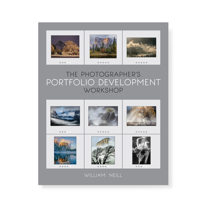 The Photographer's Portfolio Development Workshop: Learn to Think in Themes, Find Your Passion, Develop Depth, and Edit Tightly