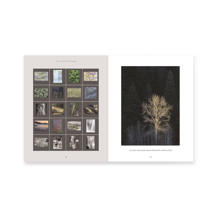 The Photographer's Portfolio Development Workshop: Learn to Think in Themes, Find Your Passion, Develop Depth, and Edit Tightly