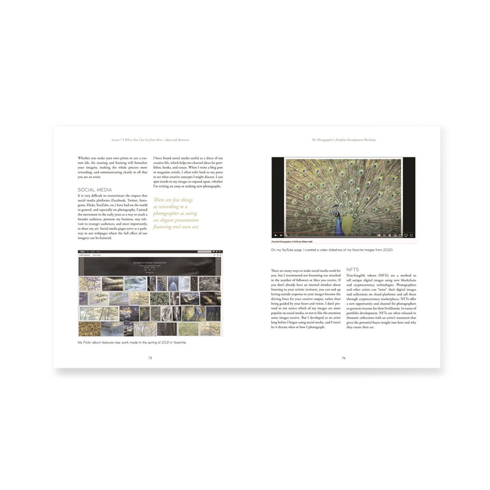 The Photographer's Portfolio Development Workshop: Learn to Think in Themes, Find Your Passion, Develop Depth, and Edit Tightly