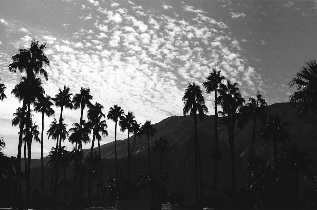 Ferrania P30 80 Black & White Negative - 35mm Film, 36 Exposures, Single Roll