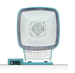 Lomography Diana F+ Flash