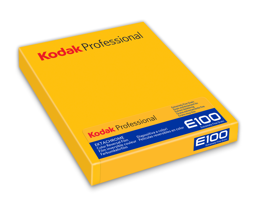 Kodak Professional Ektachrome E100 Color Transparency - 4x5" Film, 10 Sheets